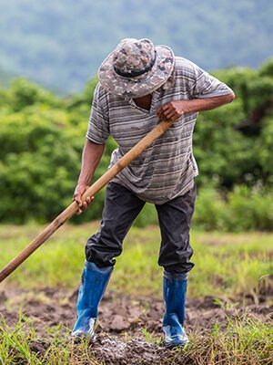 Giới thiệu hệ thống